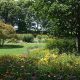 Dawes Arboretum-OH